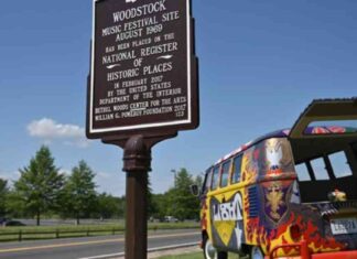 Top 10 Iconic Volkswagen Buses for Enthusiasts news-21102024-200351