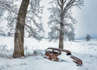 State Farm Auto Insurance Quote: Discover How to Save Big Today!