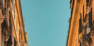 Auto Detail Shops Near Me: Discover The Best Local Services Today! pexels photo 19749244