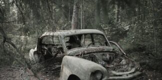 B&R Auto Wrecking: Discover Hidden Gems in Quality Parts pexels photo 28143754