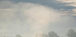 Bel Air Auto Auction: Discover Hidden Gems and Unbeatable Deals pexels photo 32275604