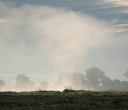 Bel Air Auto Auction: Discover Hidden Gems and Unbeatable Deals pexels photo 32275604