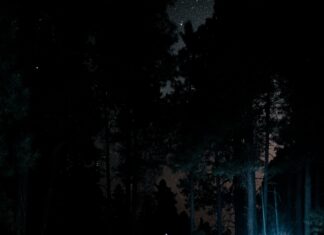 Auto Tinting Near Me: Discover The Benefits You Can’t Ignore