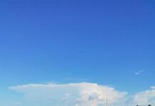 Tidal Wave Auto Spa Car Wash: Experience a Pristine Shine Today! pexels photo 20618866