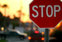 Best Auto Insurance in Florida: Discover Top Coverage Options