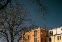 Post Falls Auto Auction: Discover Incredible Deals Today!