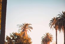 La Familia Auto Insurance: Discover Essential Coverage Benefits