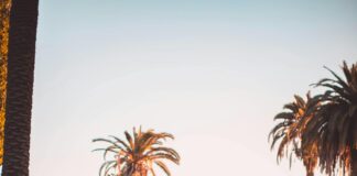 La Familia Auto Insurance: Discover Essential Coverage Benefits pexels photo 3166786