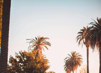 La Familia Auto Insurance: Discover Essential Coverage Benefits