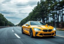 The Future of Automotive: Sustainability and Innovation on the Road Ahead